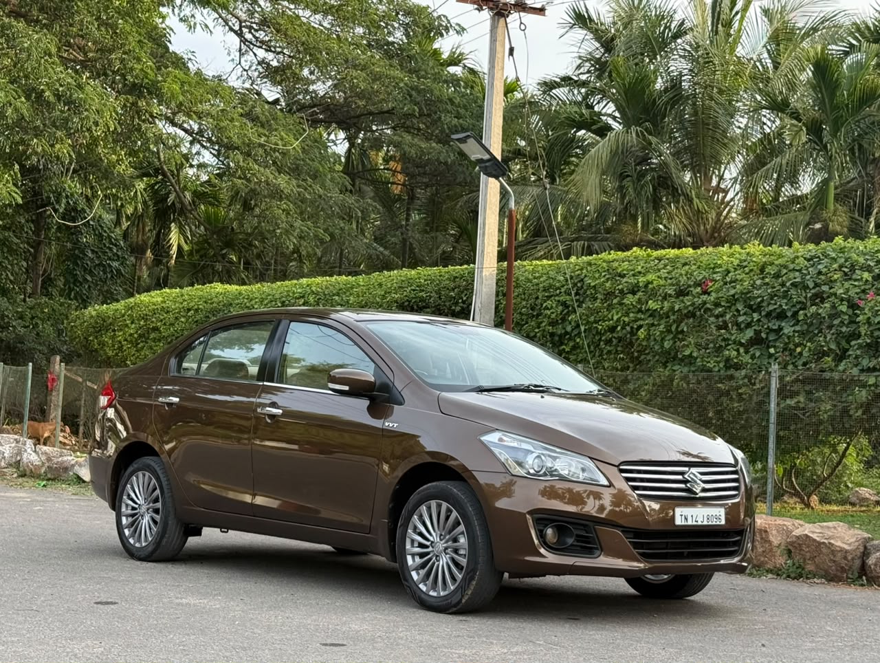 Maruti Suzuki Ciaz - Image 4